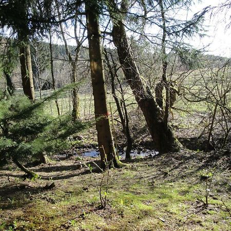 Ferienwohnung Wandervogel Braunlage Exteriör bild