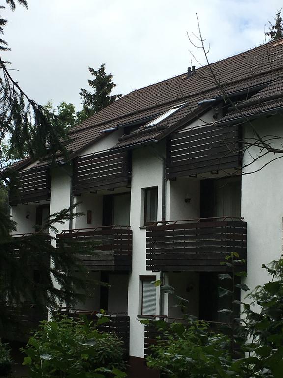 Ferienwohnung Wandervogel Braunlage Exteriör bild