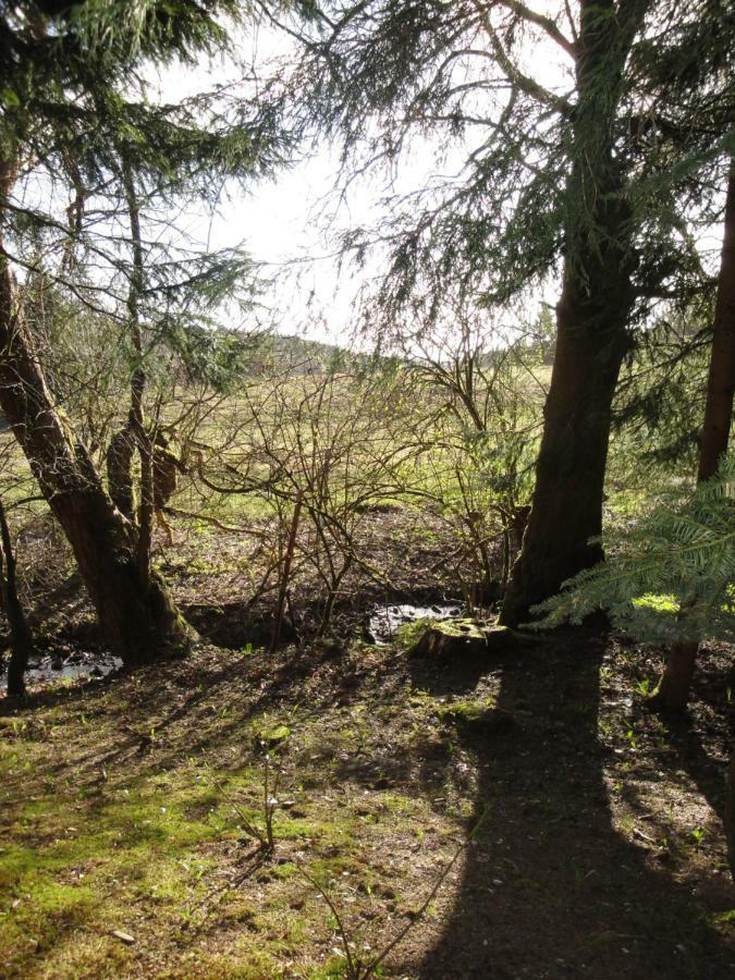 Ferienwohnung Wandervogel Braunlage Exteriör bild