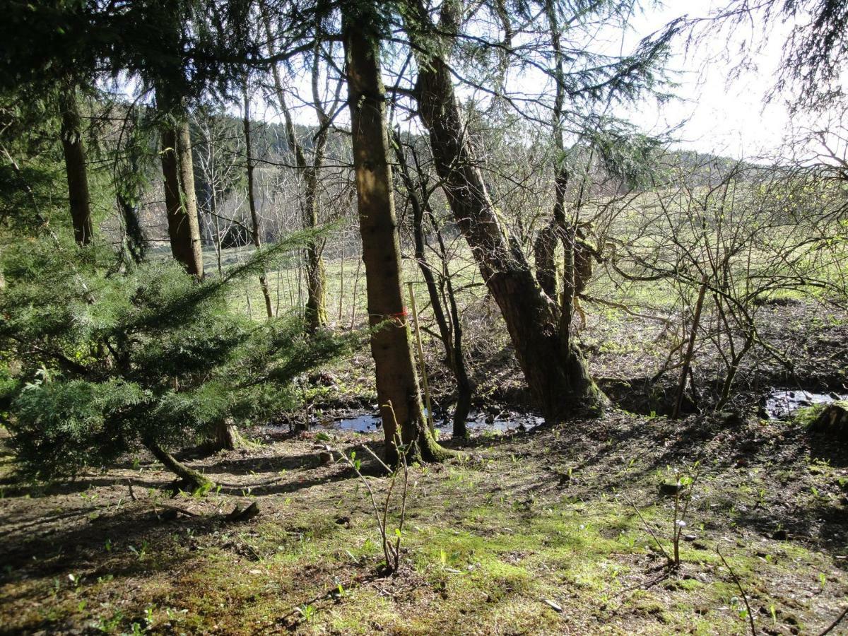 Ferienwohnung Wandervogel Braunlage Exteriör bild
