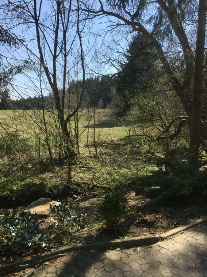 Ferienwohnung Wandervogel Braunlage Exteriör bild